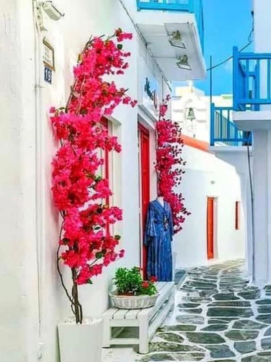 A whitewashed Mykonos lane framed by magenta bougainvillea and a Cycladic-blue door